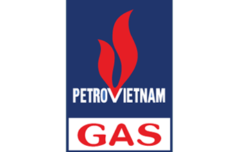 petrovietnam gas logo